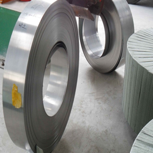 Stainless Steel Strips & Coils Supplier & Stockist in India